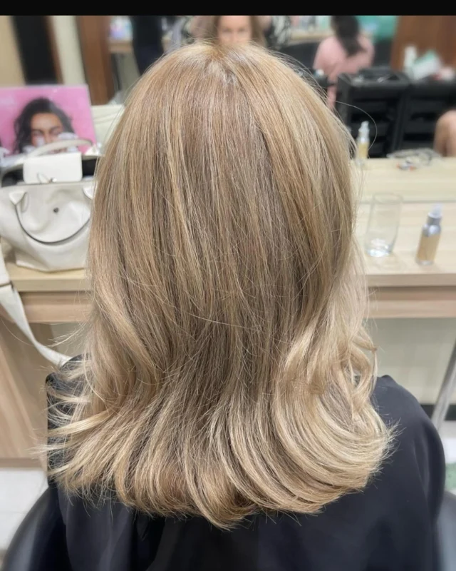 Half  head Foils and toner frefresh